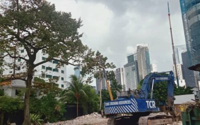 The Critical Importance of Removing Trees Before They Fall
