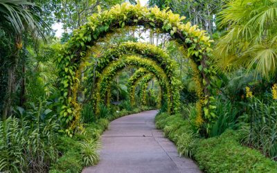 Crafting the Perfect Garden: A Guide to Thoughtful Garden Design