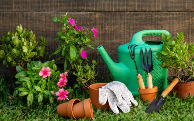 Revive Your Soil: Tips for Healthy Garden Beds