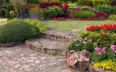 From Forest to Flower Bed: Why You Should Cut Trees and Turn Them into Gardens